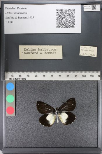 Media type: image;   Entomology 128275